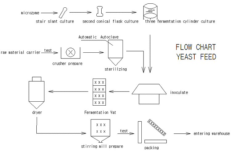 flow-chart-Yeast-feed.gif